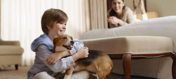 Dog Friendly Hotel Sheraton Grand Nashville Downtown Dog Policies